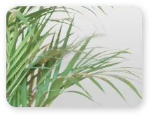 Orthodontic treatment closeup